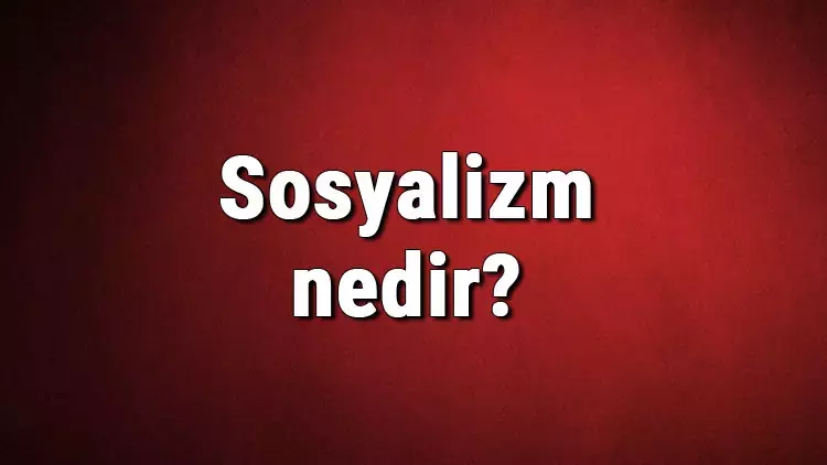 Prout bir tür sosyalizm midir? 